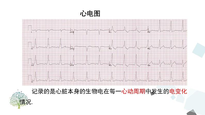 19.1.2 第1课时 函数的图象 课件03