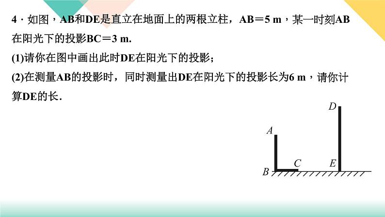 29．1　投影 第1课时　投影-（课堂训练课件）06