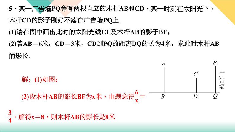 29.专题课堂(九)　投影与视图的应用-（课堂训练课件）06