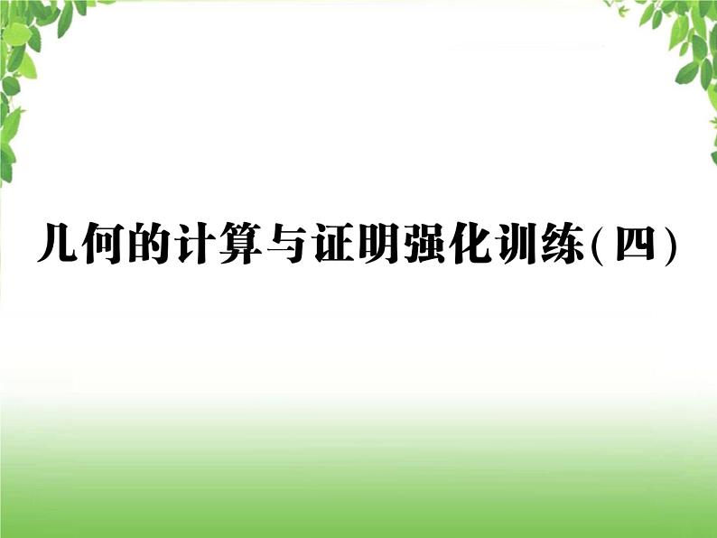 中考数学强化训练：几何的计算与证明（四）01