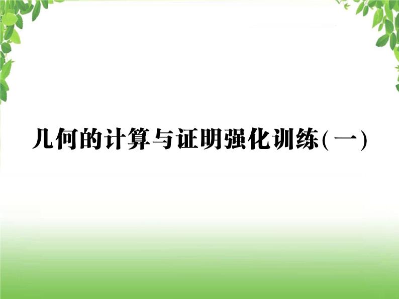 中考数学强化训练：几何的计算与证明（一）01