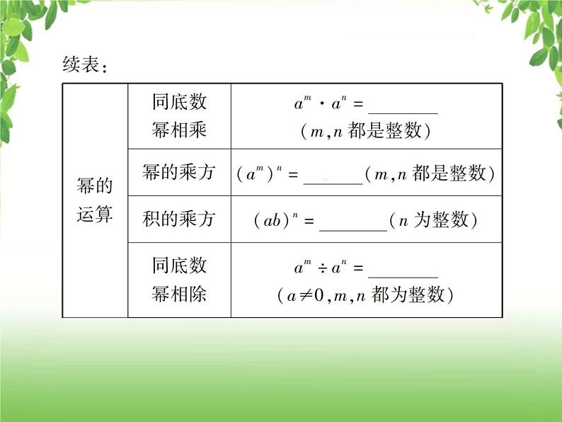 中考数学一轮复习考点梳理课件：1.2 整式与因式分解07