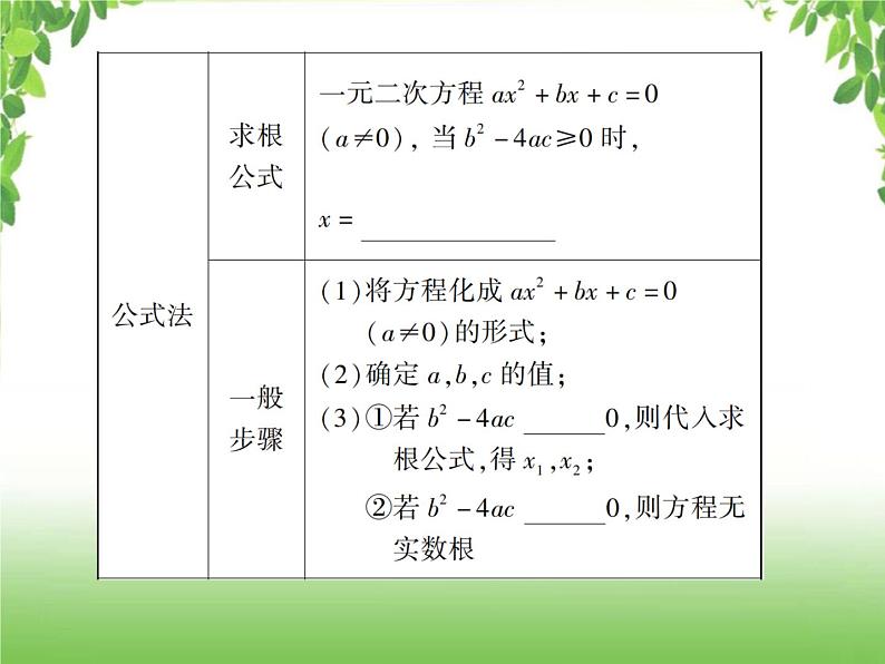 中考数学一轮复习考点梳理课件：2.6 一元二次方程及其应用04