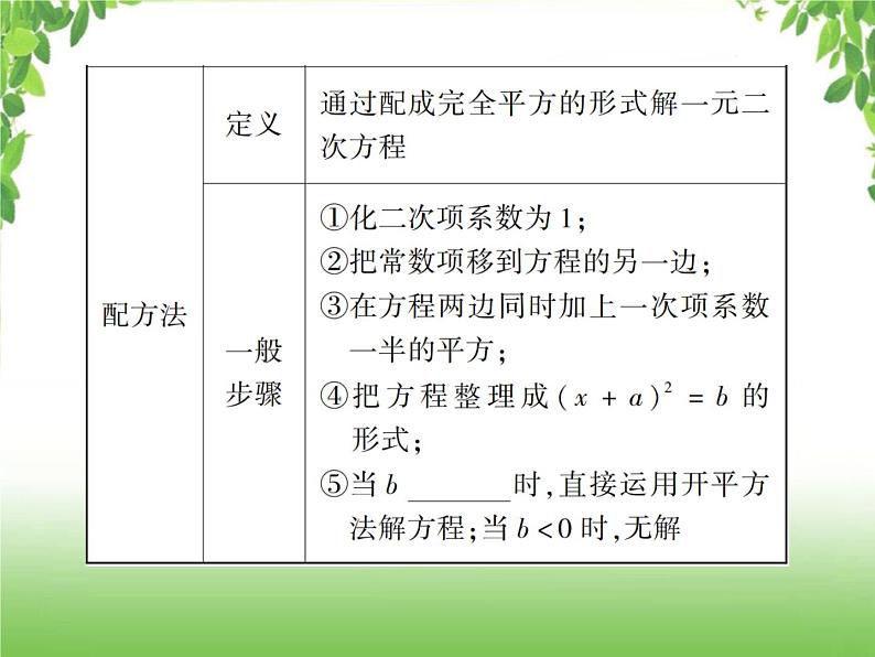 中考数学一轮复习考点梳理课件：2.6 一元二次方程及其应用05