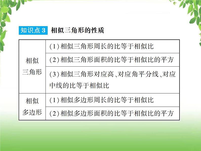 中考数学一轮复习考点梳理课件：4.25 相似三角形05