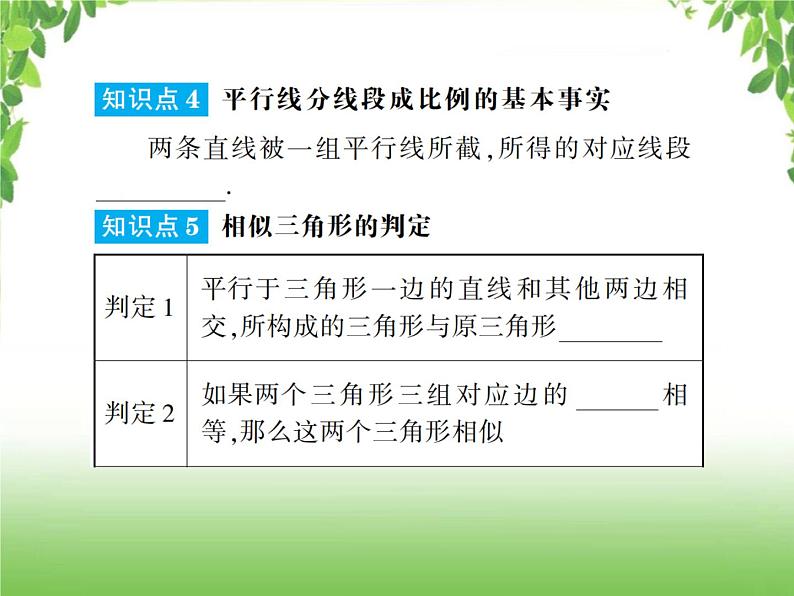 中考数学一轮复习考点梳理课件：4.25 相似三角形06