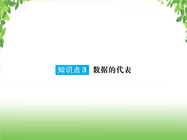 中考数学一轮复习考点梳理课件：6.32 统计07