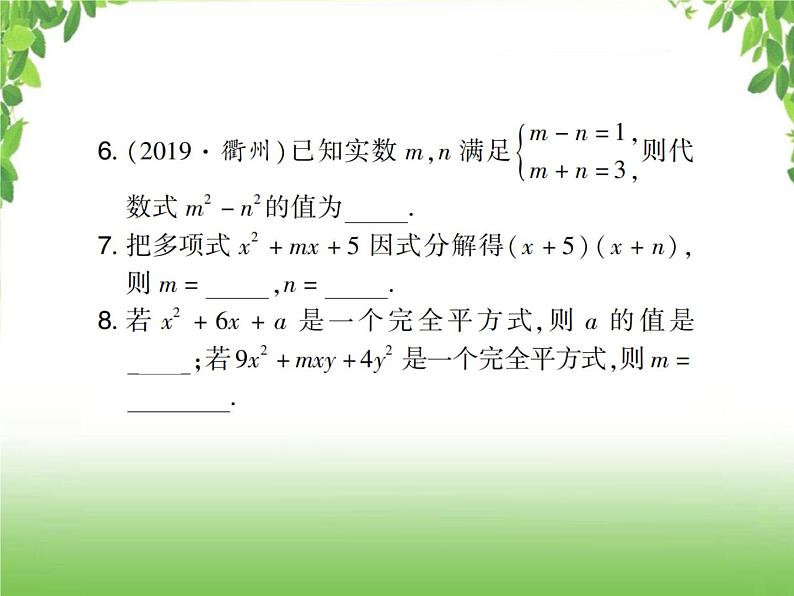 中考数学考点集训练习 1.2整式与因式分解05