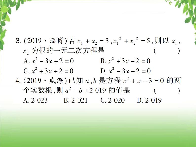 中考数学考点集训练习 2.6 一元二次方程及其应用03