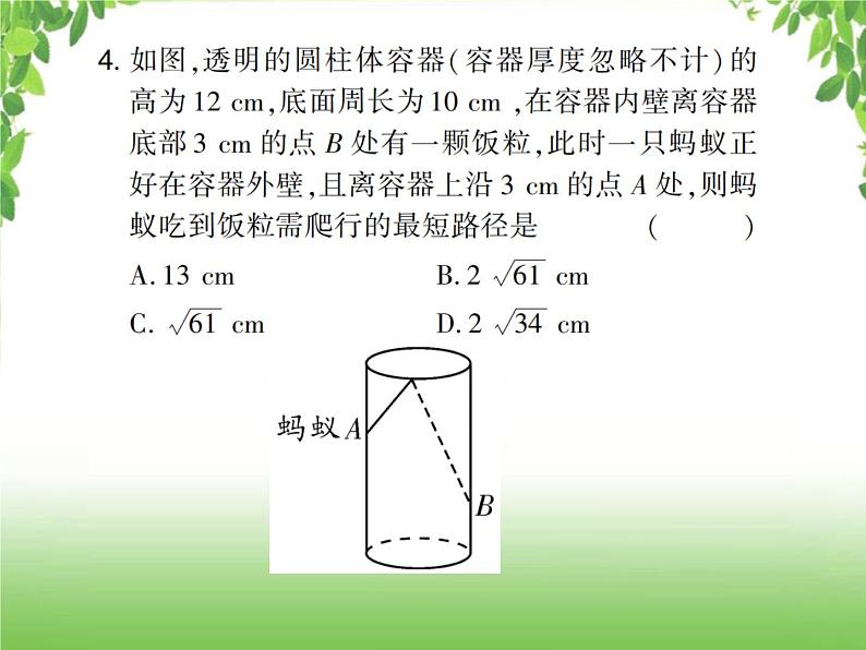 中考数学考点集训练习 4.21 直角三角形与勾股定理05