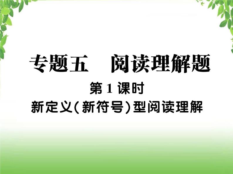 中考数学二轮专题突破课件：专题五 5.1 新定义（新符号）型阅读理解01