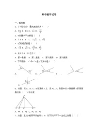 初中数学人教七下期中数学试卷(1)