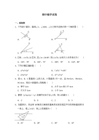 初中数学青岛七下期中数学试卷