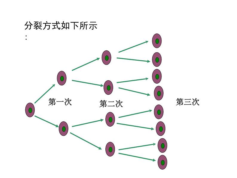 人教版七年级上册数学课件：1.5.1 第1课时 乘方05