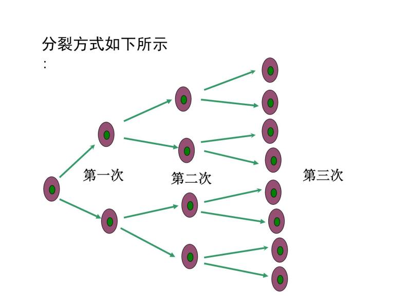 人教版七年级上册数学课件：1.5.1 第1课时 乘方05