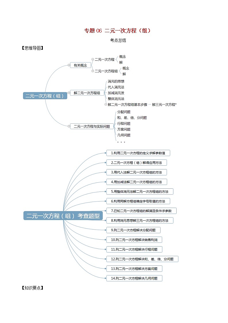 2020年中考数学一轮复习基础考点专题06二元一次方程组含解析01