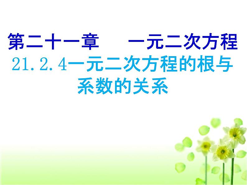 人教版九年级上册数学课件：21.2.4一元二次方程的根与系数的关系（共24张PPT）第1页