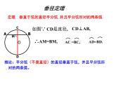 人教版九年级上册数学课件：24.1.2垂直于弦的直径2(共19张PPT)