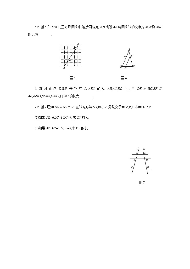 北师大版九年级数学上册同步练习：4.2 平行线分线段成比例02