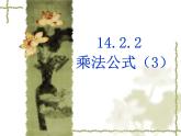 人教版八年级数学上册课件：14.2.3--乘法公式(3)(共16张PPT)