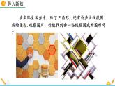 11.3.1 《多邊形》精品課件