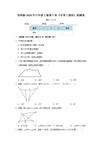 初中数学苏科版八年级上册第一章 全等三角形综合与测试同步达标检测题