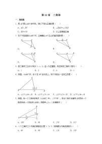 数学八年级上册第十一章 三角形综合与测试综合训练题