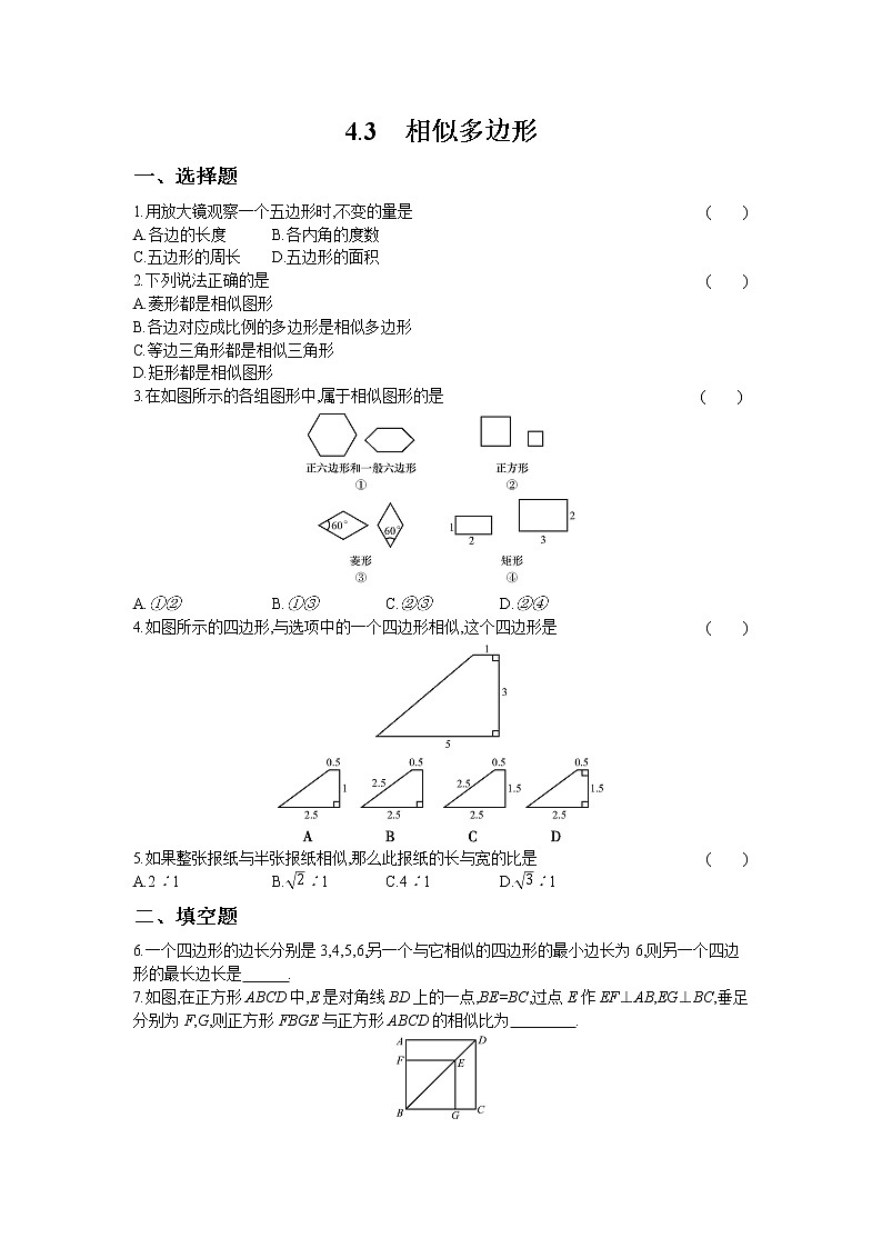 4.3 相似多边形第1页