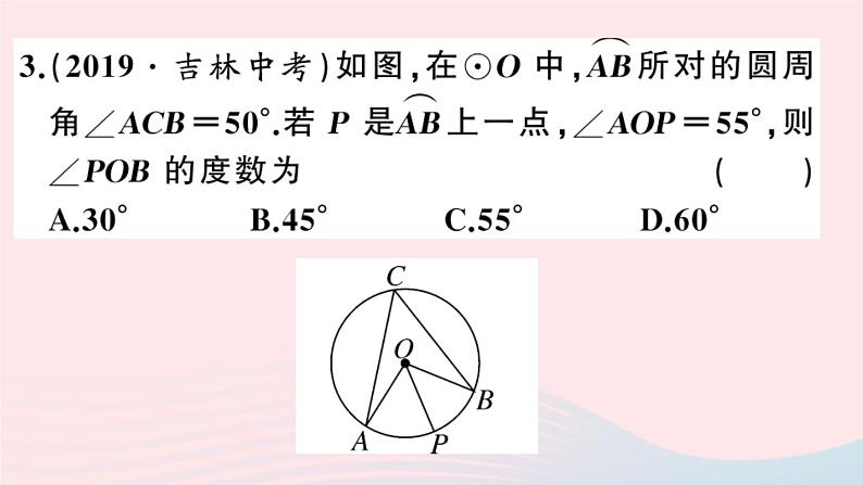 （安徽专版）九年级数学上册第24章圆综合混动练习圆的有关概念及性质课件（新版）新人教版第4页