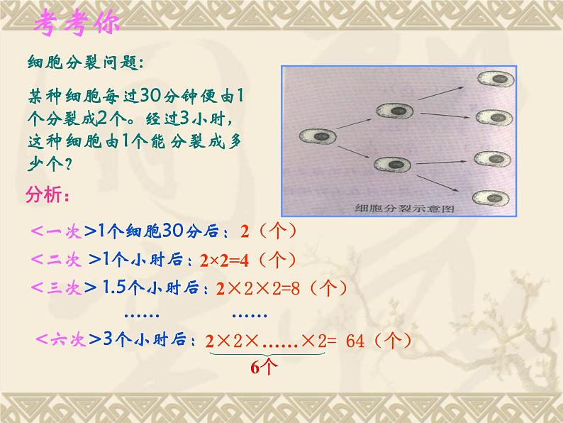 人教版七年级上册 数学 课件 1.5.1乘方(共46张PPT)05