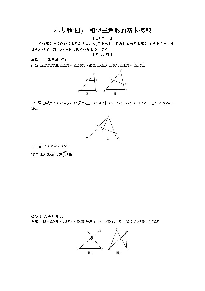 小专题(四)　相似三角形的基本模型01