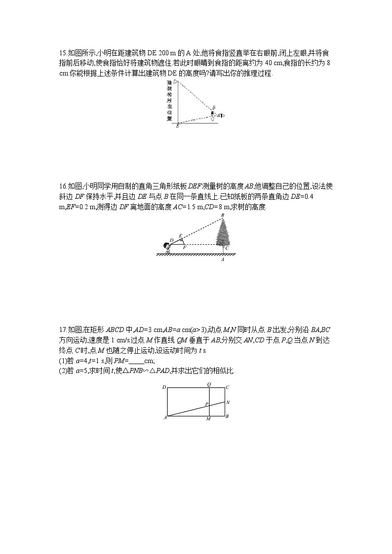 22.3  第1课时　相似三角形的性质定理1及应用第3页