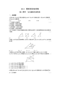 初中数学沪科版九年级上册22.4 图形的位似变换第1课时同步达标检测题