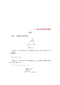 北师大版5 相似三角形判定定理的证明当堂检测题