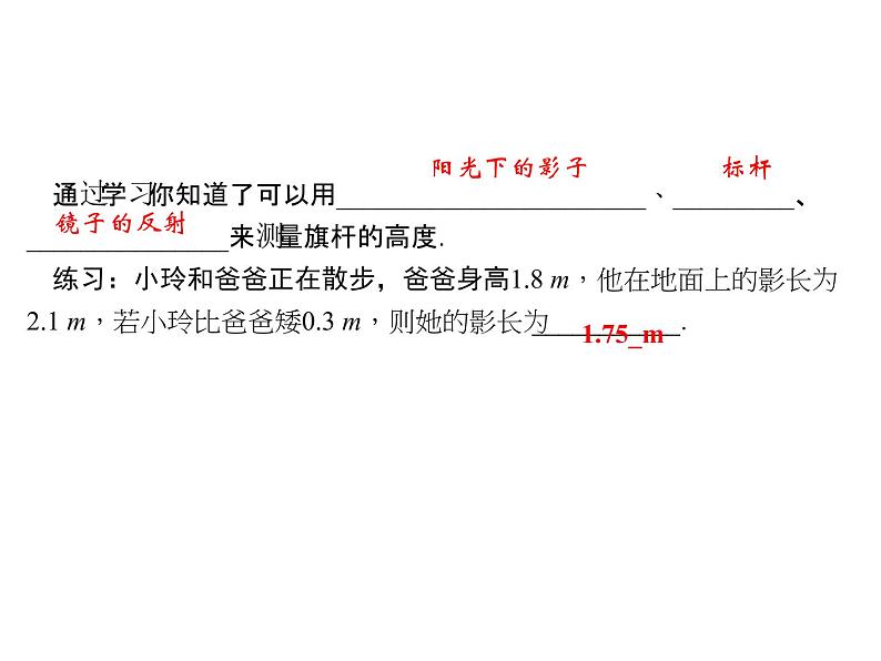 2020年北师大版九年级数学上册课件：4.6利用相似三角形测高03