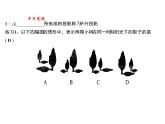 2020年北师大版九年级数学上册课件：5.1 投影 第2课时 平行投影与正投影