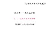 2020年北师大版九年级数学上册课件：2.1 认识一元二次方程 第2课时 一元二次方程的解