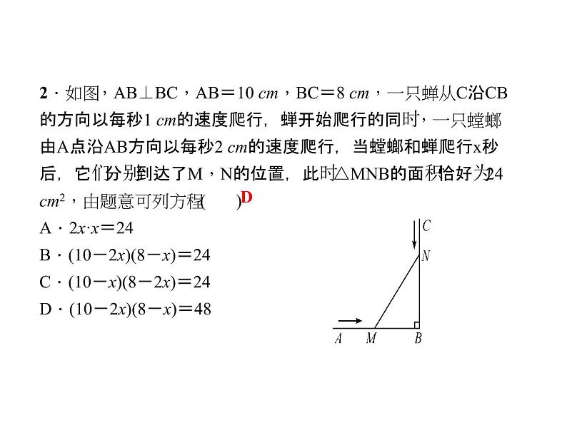 2020年北师大版九年级数学上册课件：2.6 第1课时 利用一元二次方程解决几何问题06