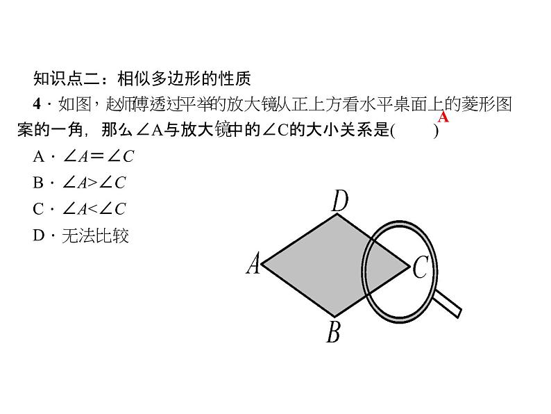 2020年北师大版九年级数学上册课件：4.3相似多边形07