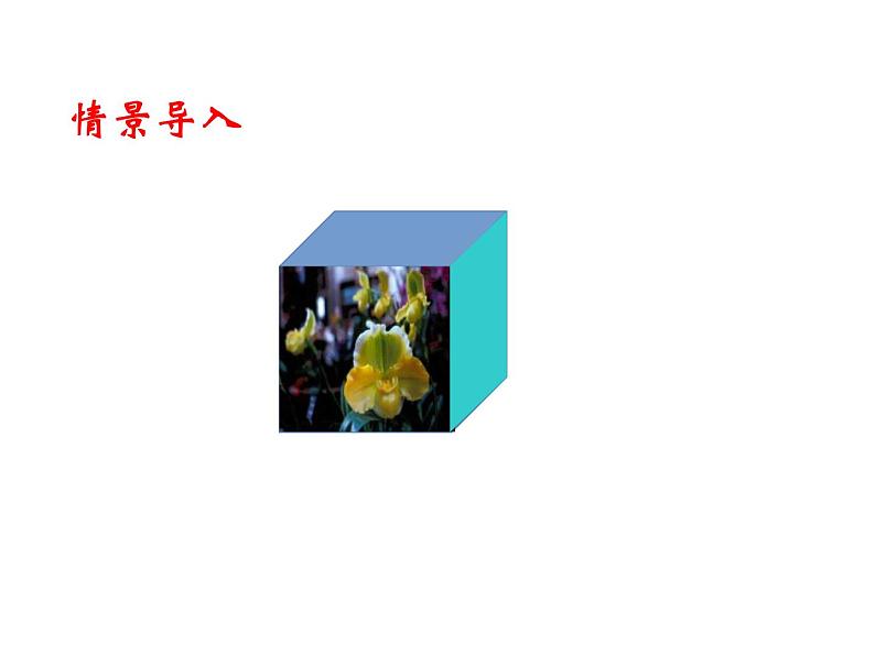 2020北师大版数学七年级上册同步教学课件：1.3截一个几何体 (共22张PPT)04