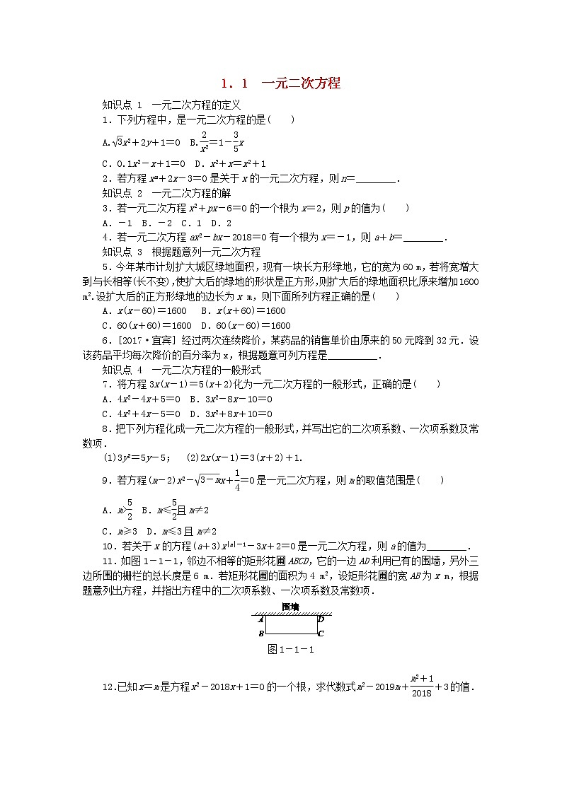 2020年苏科版九年级数学上册1.1一元二次方程 同步练习（含答案）01
