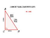 浙教版八年级数学上册课件：2.6  直角三角形 (共25张PPT)