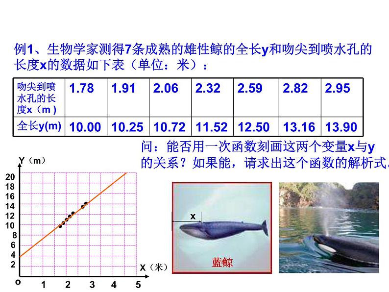 浙教版八年级数学上册课件：5.5  一次函数的简单应用 (共10张PPT)03