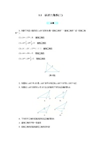 初中数学浙教版八年级上册第1章 三角形的初步知识1.1 认识三角形导学案及答案