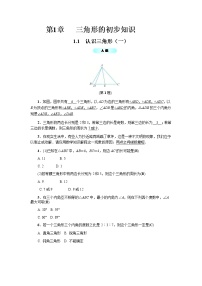 浙教版八年级上册1.1 认识三角形学案设计