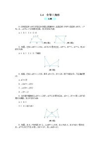 初中浙教版1.4 全等三角形学案