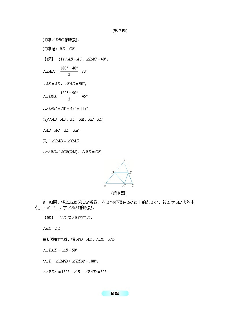 2020年浙教版八年级数学上册基础训练：2.3  等腰三角形的性质定理（一）（含答案）03