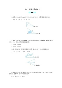 浙教版八年级上册2.6 直角三角形导学案