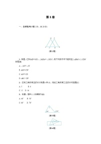 数学第1章 三角形的初步知识综合与测试单元测试练习题