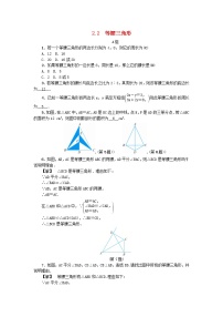 浙教版八年级上册第2章 特殊三角形2.2 等腰三角形学案